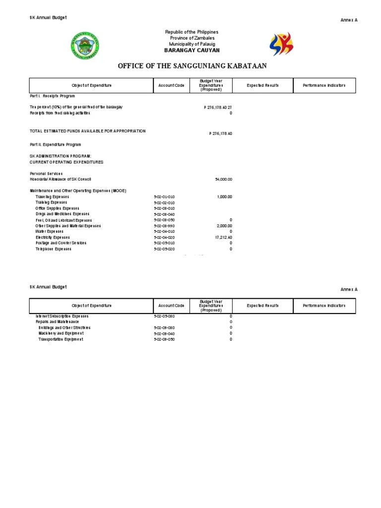 SK Annual Budget 2021 | PDF | Expense