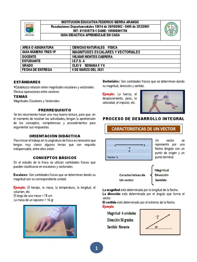 Guia Vectores Escalares Y Vectoriales | PDF | Vector Euclidiano | Triángulo