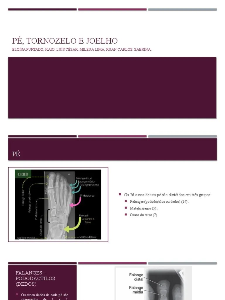 Pé, Tornozelo E Joelho 2.0 | PDF | Membros (anatomia) | Sistema Locomotor