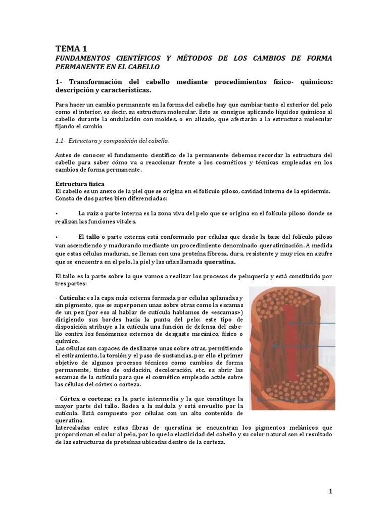 El Trabajo De Los Cient Ficos Docx Pdf - Colorful Art Collection - Mobile Quality