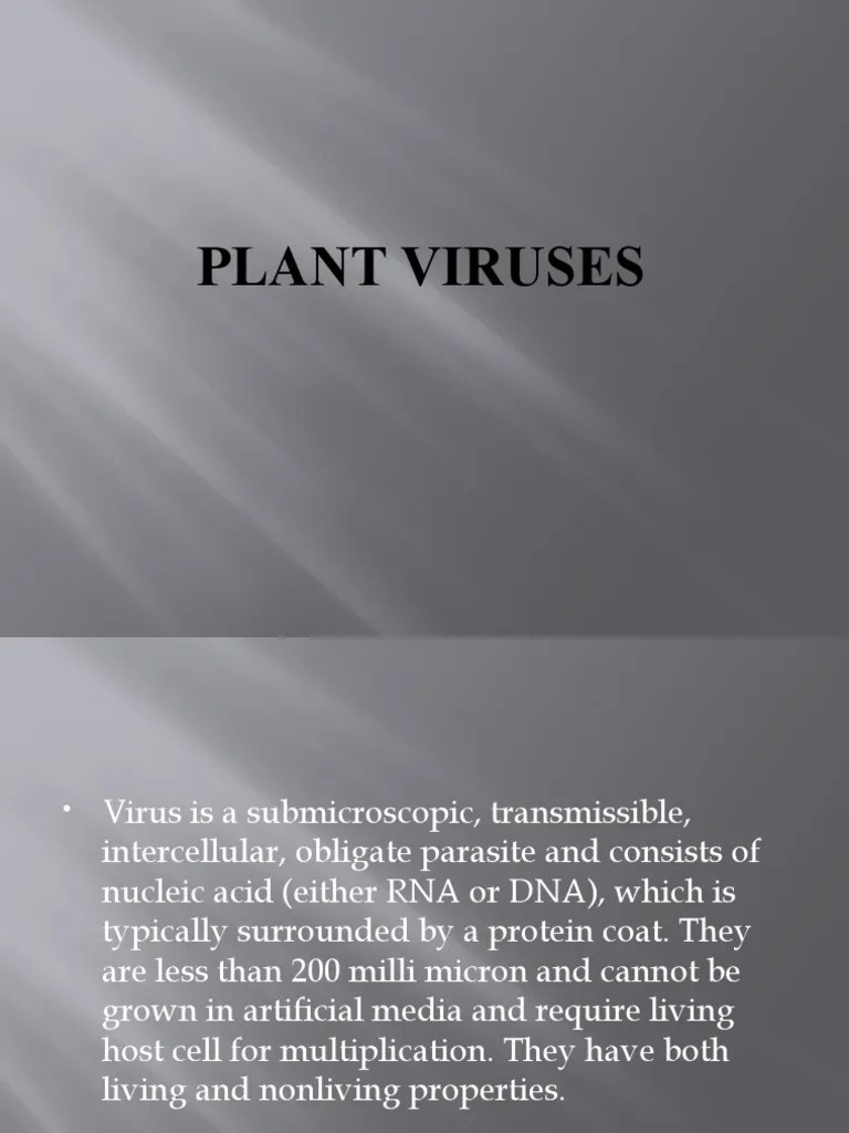Plant Viruses | PDF | Virus | Plant Virus