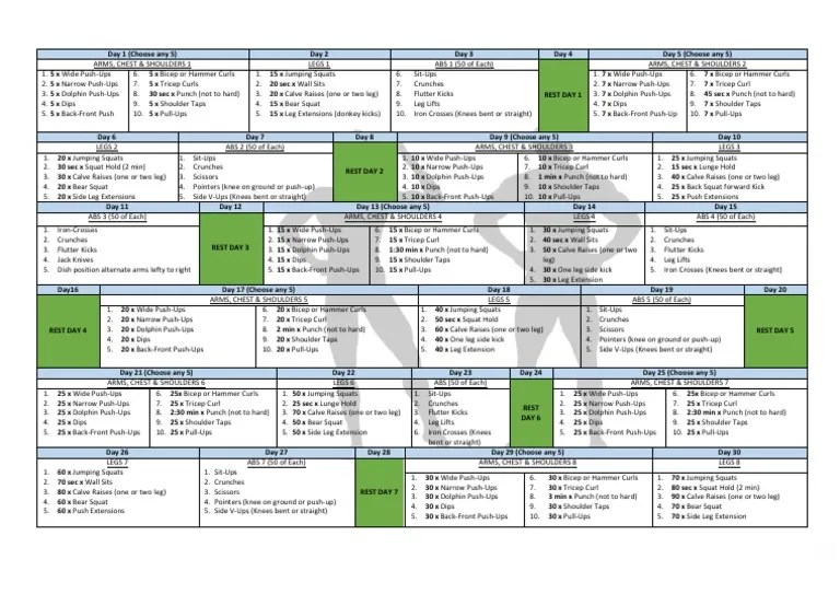 30 Day Fitness Challenge | PDF | Physical Fitness | Strength Training