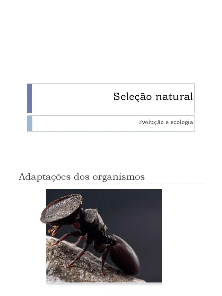 Seleção Natural | PDF | Seleção Natural | Evolução