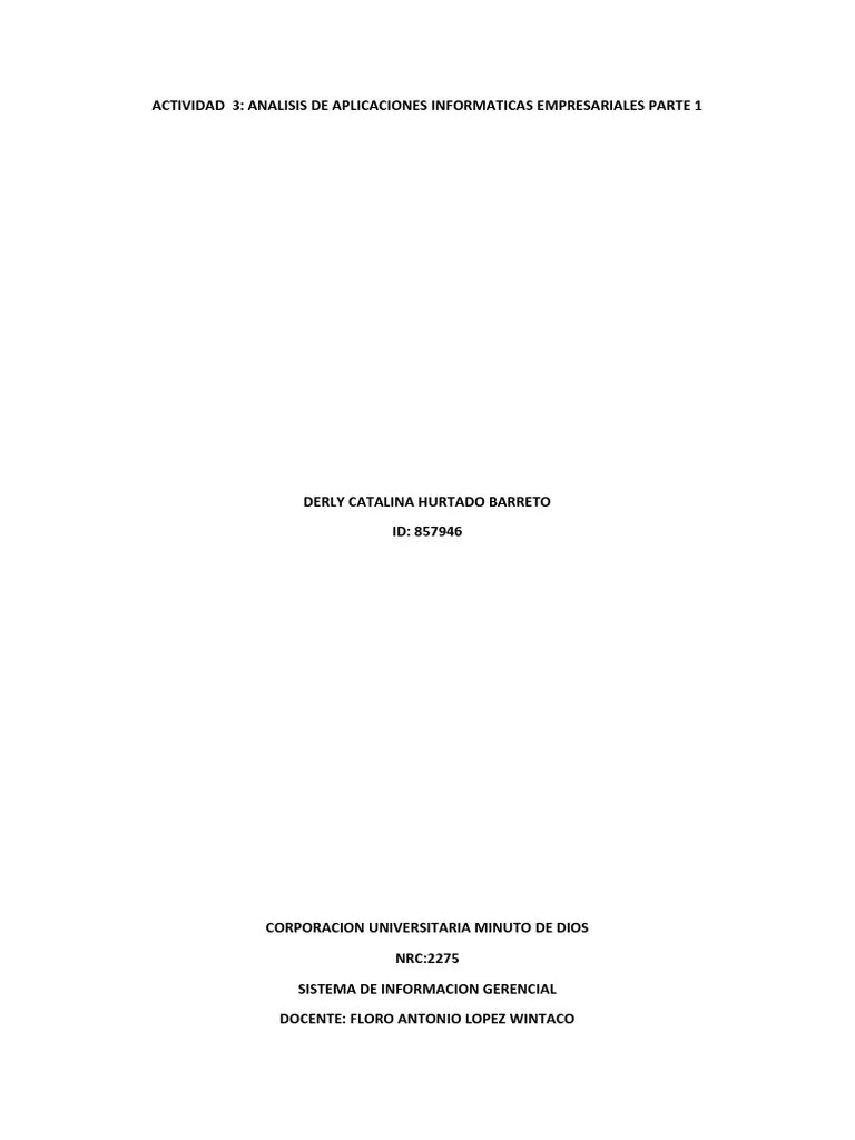 Actividad 3 Sistema De Informacion Gerencial | PDF | Planificación De ...