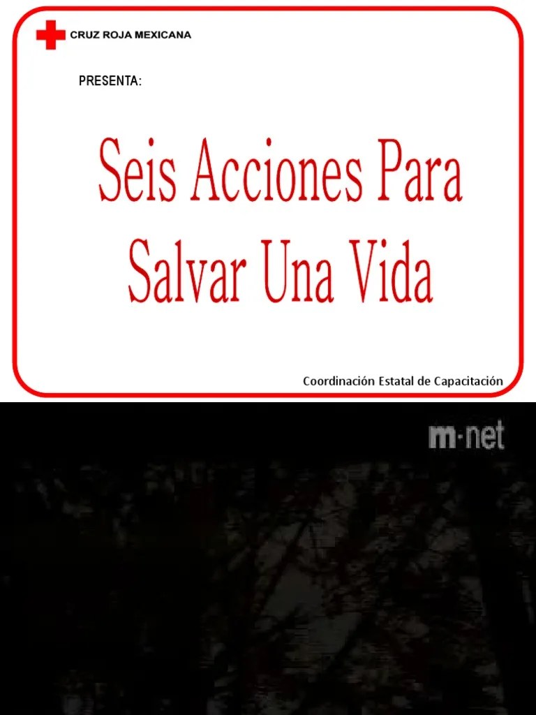 Seis Acciones Para Salvar Una Vida Nivel 1 PDF | PDF | Herida | Quemar