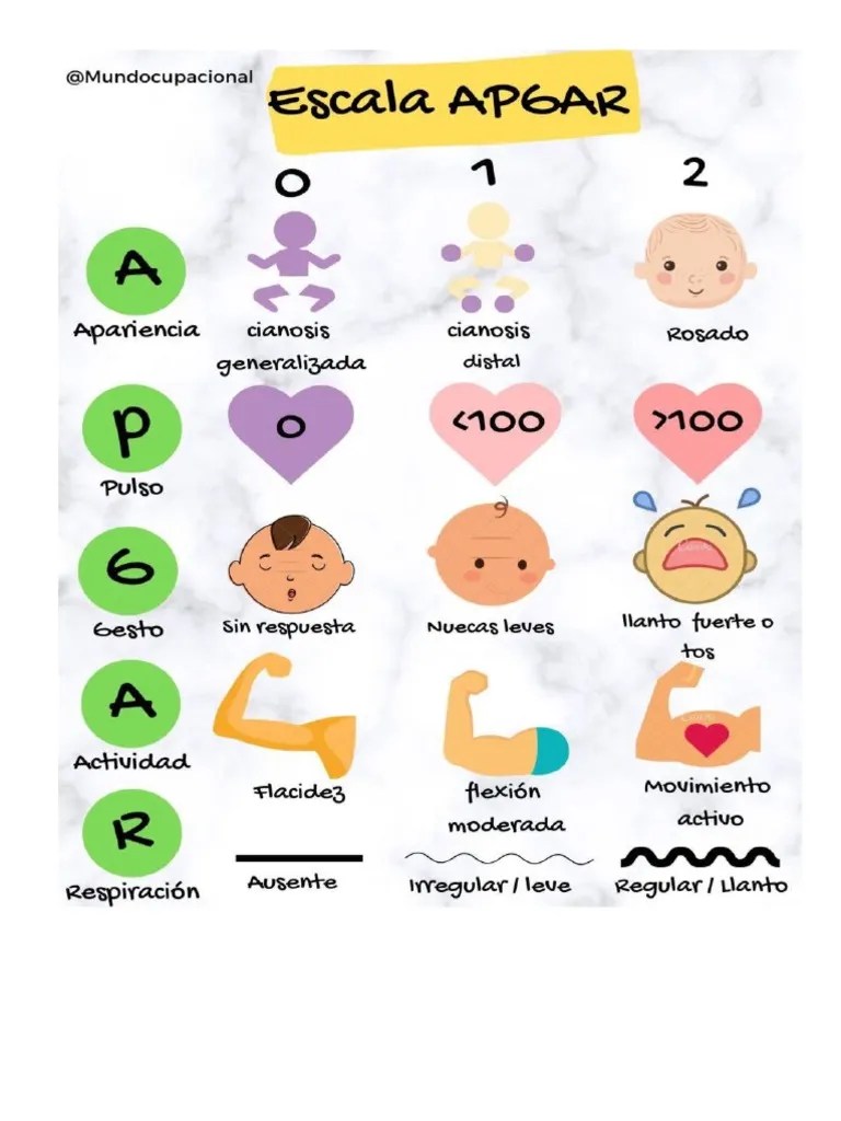 Escala APGAR | PDF