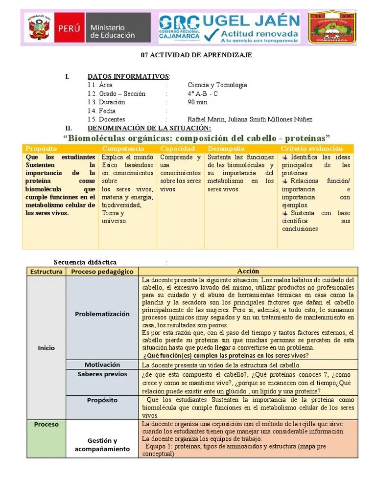 7 Actividad De Aprendizaje | PDF | Proteínas | Organismos