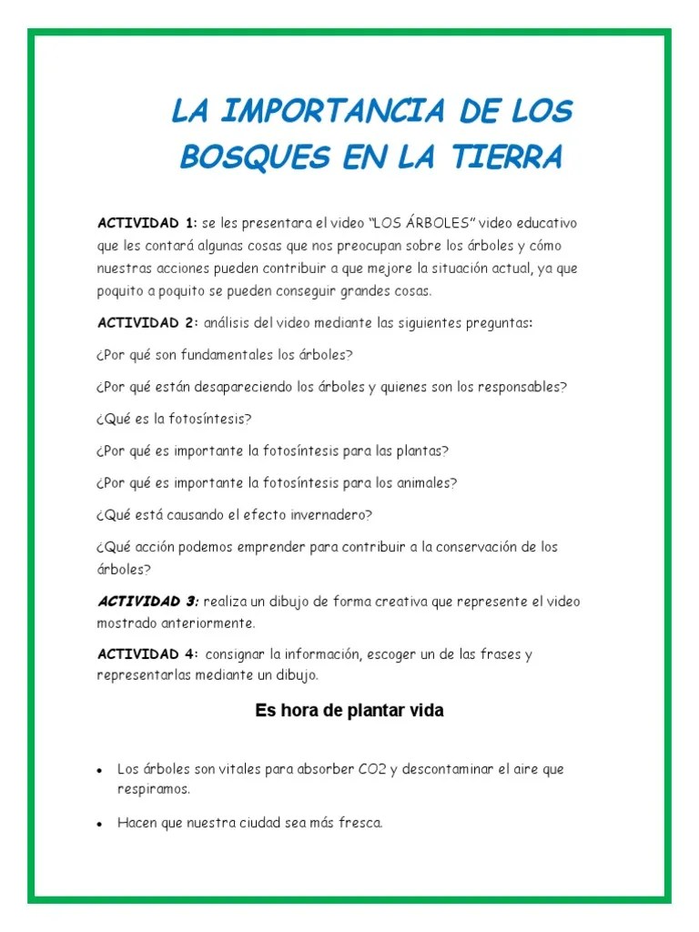 Taller Importancia De Los Bosques | PDF | Fotosíntesis | Ciencia Medioambiental