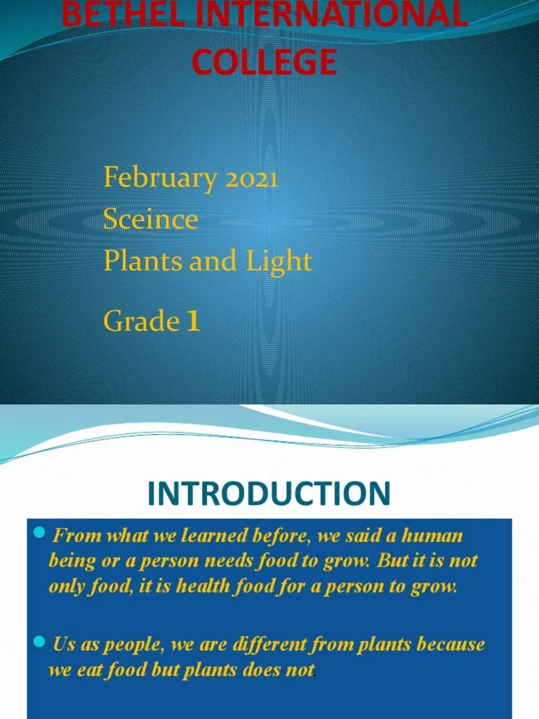 Plants Grade 1 | PDF