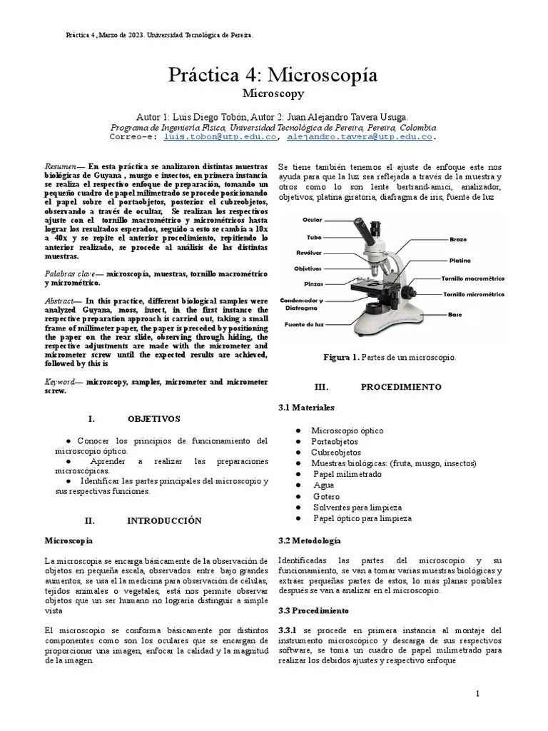 Práctica 4 - Microscopía | PDF | Microscopio | Óptica