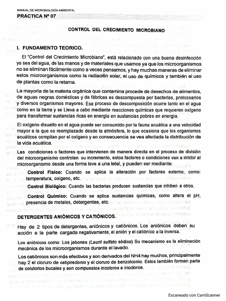 Práctica De Laboratorio N7 | PDF