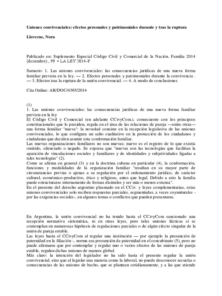 Efectos Personales Y Patrimoniales De Las Uniones Convivenciales Durante La Convivencia Y Tras ...