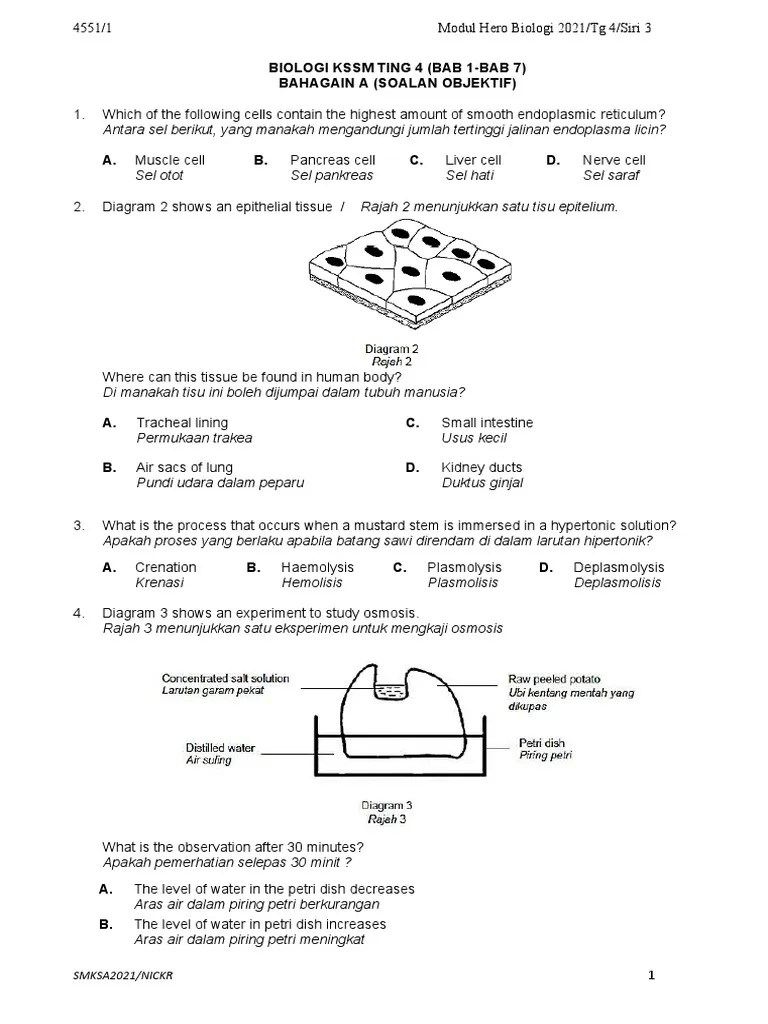 SIRI 3 MODUL Bio Ting 4 BAB 1-7 TG4 GURU | Download Free PDF | Meiosis ...