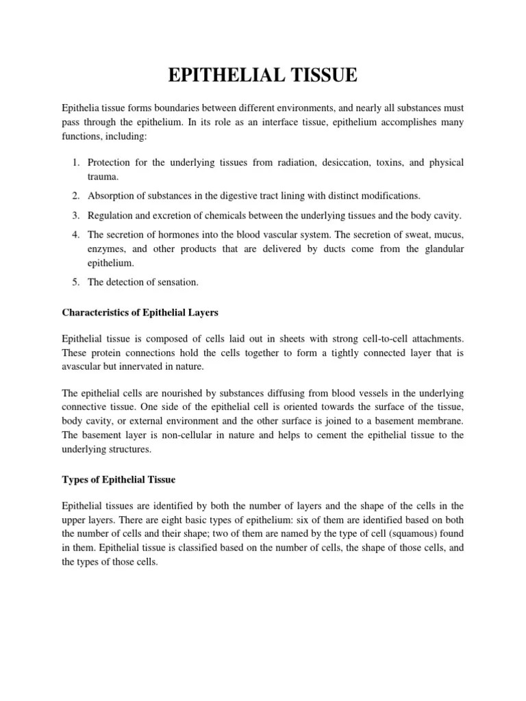 Epithelial Tissue | PDF | Epithelium | Tissue (Biology)