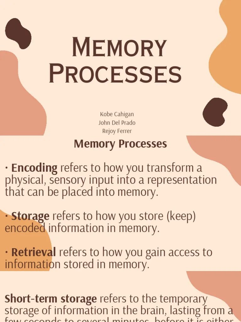 Chapter 6 Memory Processes | PDF | Memory | Recall (Memory)