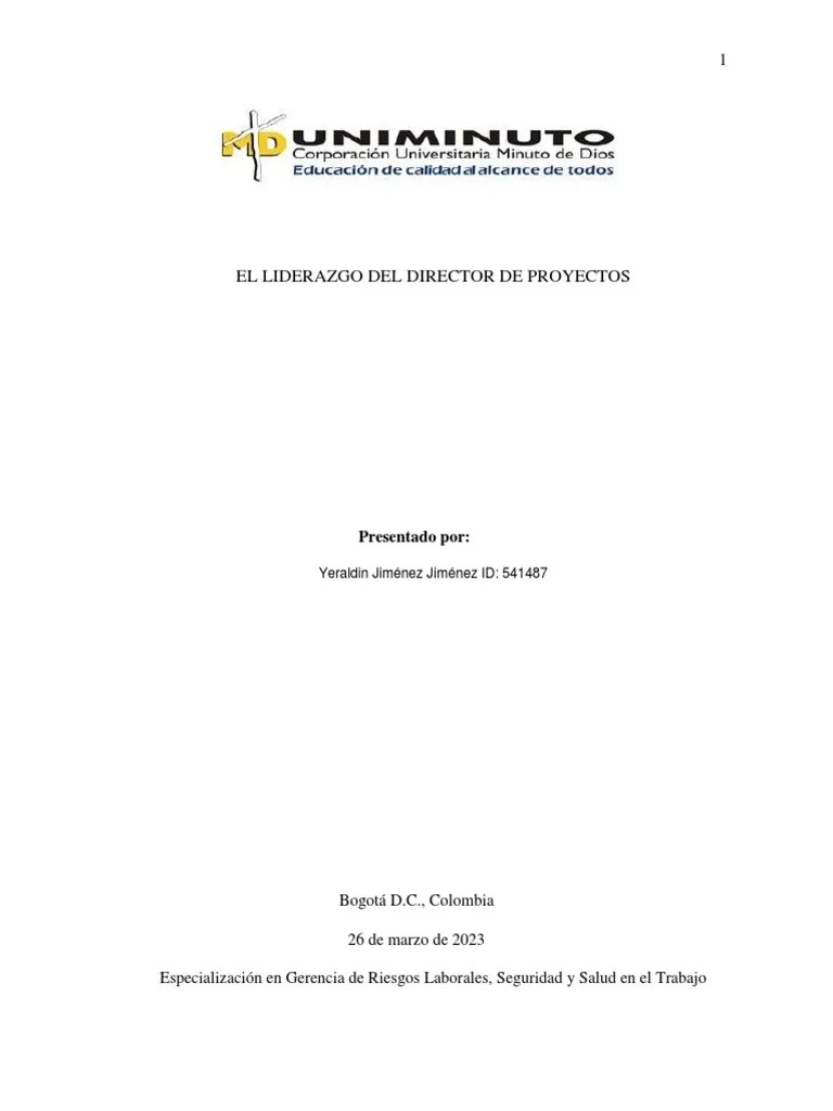 Liderazgo De Director De Proyectos | PDF | Liderazgo | Business