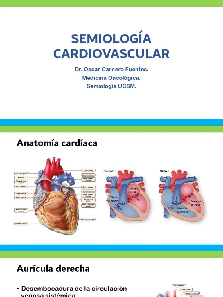 Semiología Cardiovascular: Anatomía, Fisiología Y Mecanismos De Adaptación Del Sistema ...