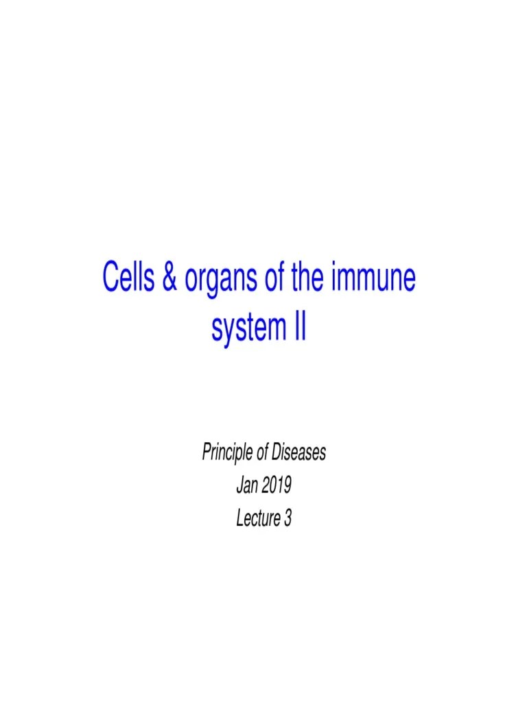Lecture 3 - Cells And Organs II | PDF | Lymphatic System | Lymph Node