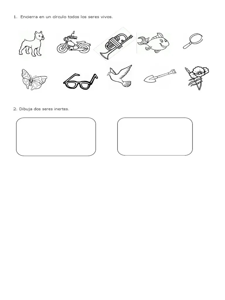 1°Básico-Ciencias-Naturales-Guía-SERES VIVOS | PDF