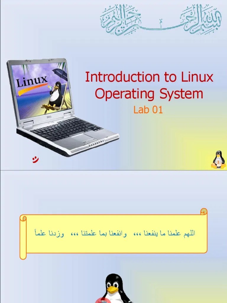 Lab01 IntroductionToLinux | PDF | Operating System | Computer File