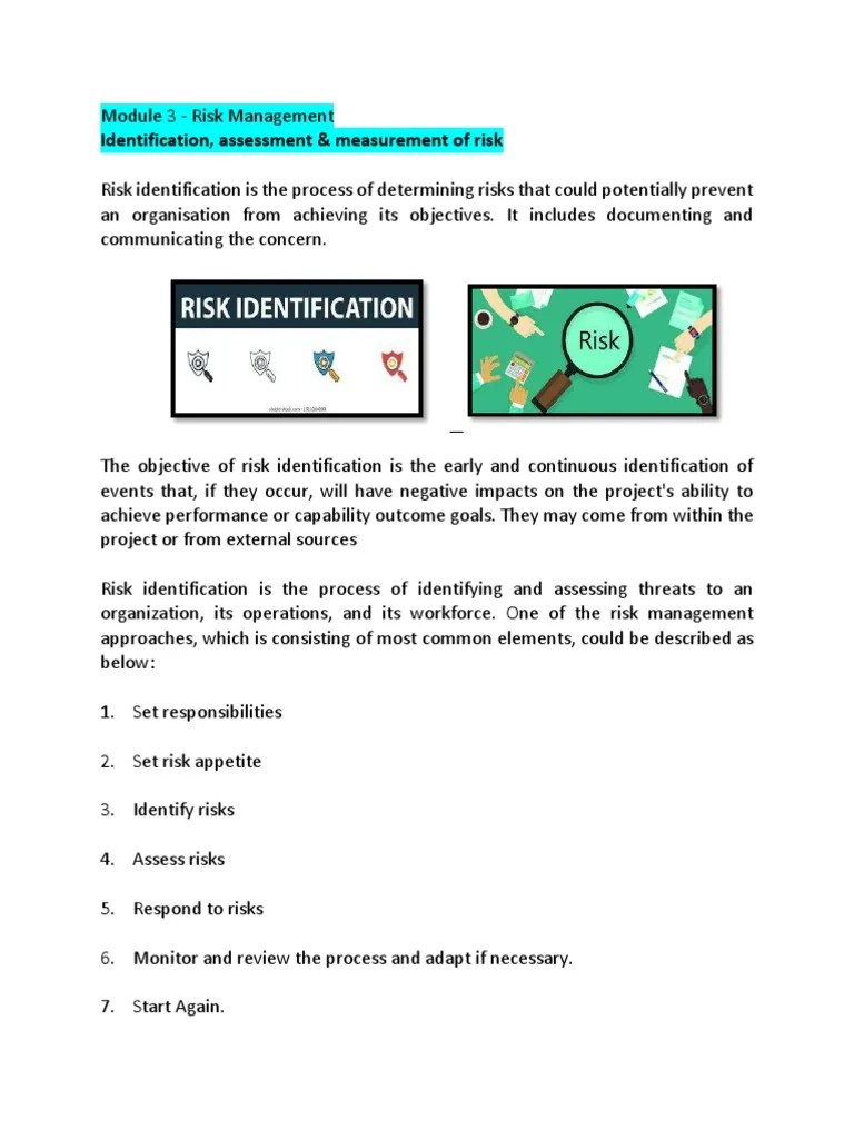 Module 3 Risk MGMT | PDF