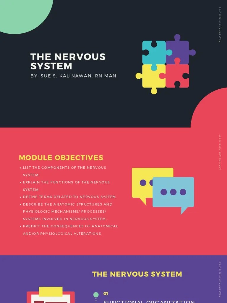 The Nervous System | PDF | Nervous System | Myelin