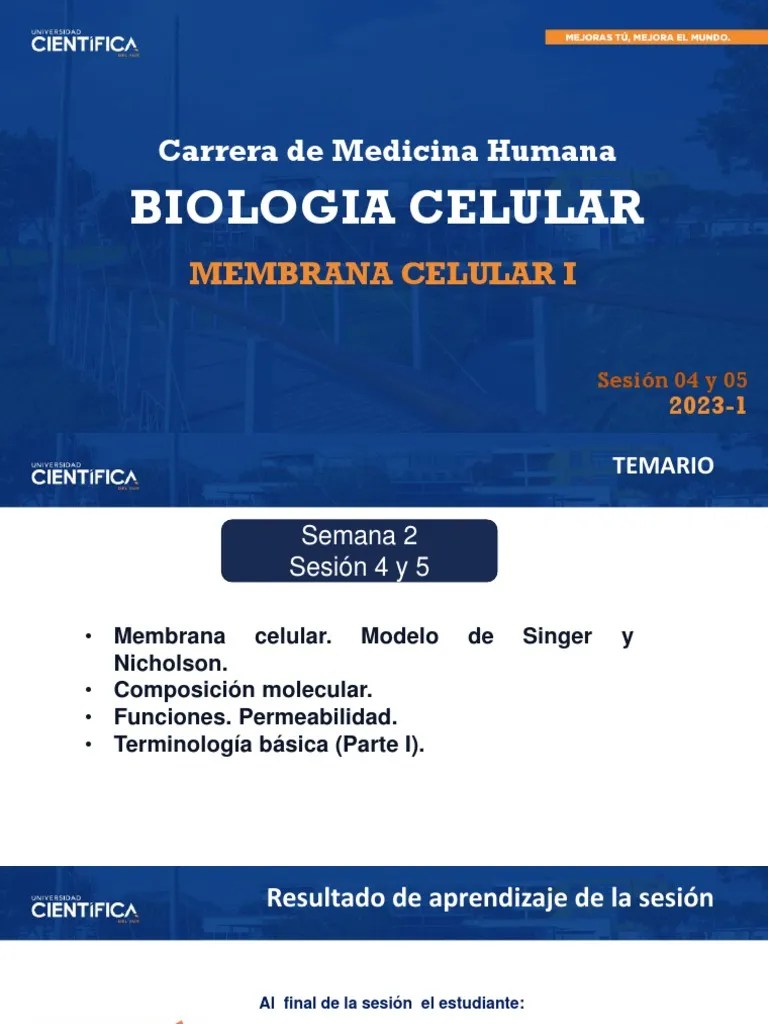 Biología Celular - Membrana Celular I-2-16 | PDF | Membrana Celular | Biología Celular)