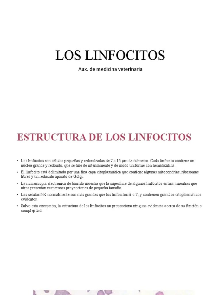 Linfocitos | PDF | Célula T | T Helper Cell
