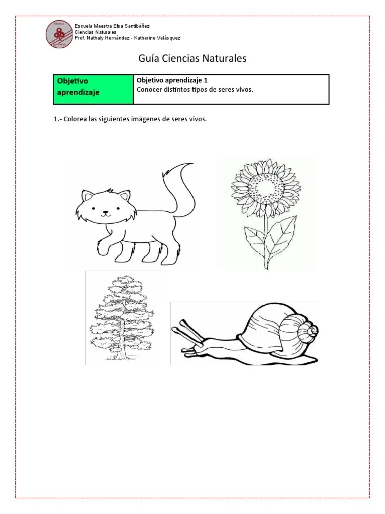 GUIA Ciencias Seres Vivos | PDF