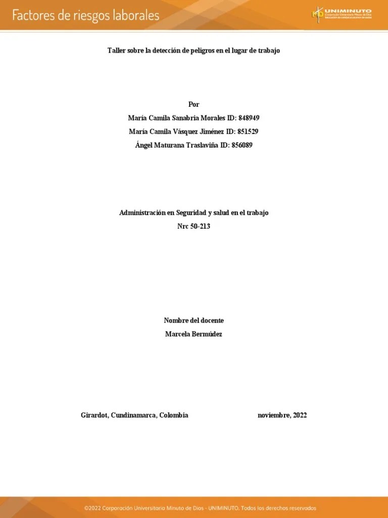 Factores De Riesgo | PDF