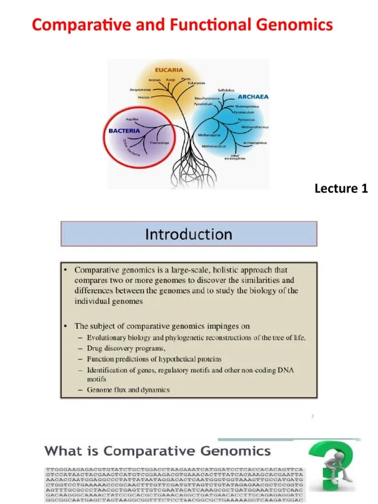 Lecture 1-2 | PDF | Genomics | Omics