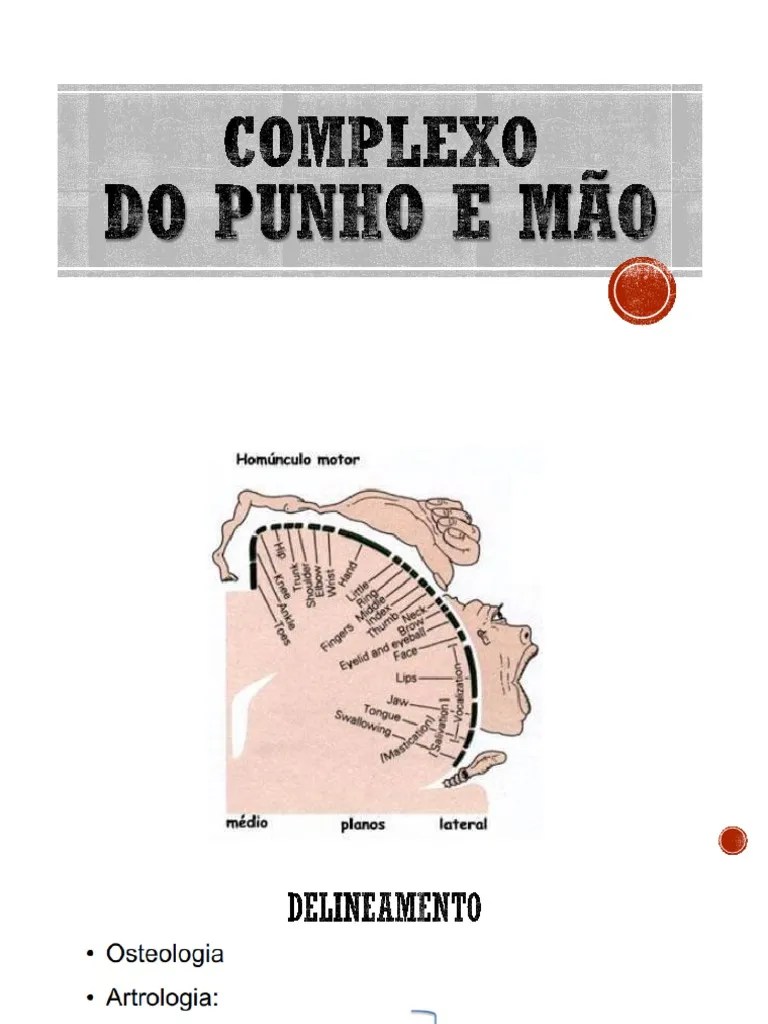 Biomecânica Aplicada Ao Tornozelo Ao Punho | PDF
