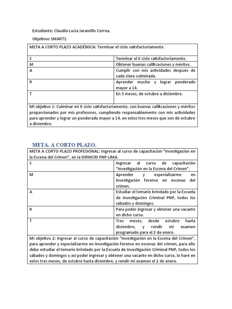 Objetivos SMART | PDF