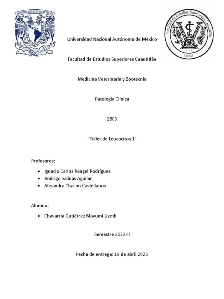 Talle Leucocitos 1 | PDF | Leucocito | Especialidades Medicas