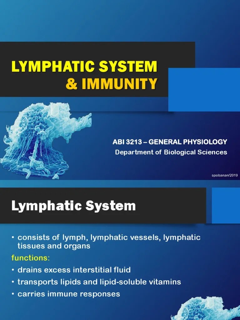 Lymphatics Immunity PDF | PDF | Lymphatic System | Immune System