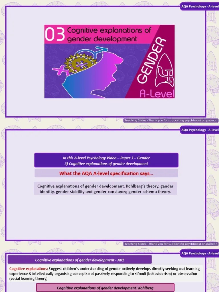 3 Gender Cognitive Explanations Of Gender Development | PDF | Gender | Gender Studies