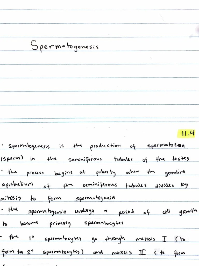 Topic 11.4 Flashcards | PDF