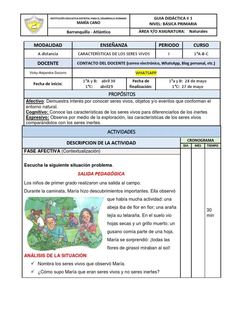 Guía 1 - Naturales 1° - Los Seres Vivos | PDF