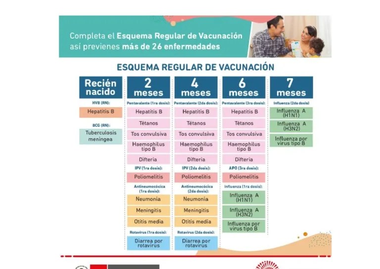 Esquema De Vacunacion Peru | PDF