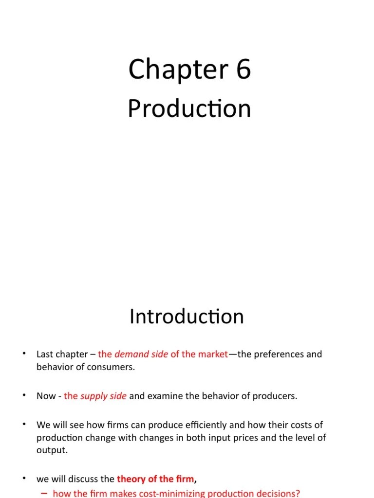 Chapter 6 - Production | PDF