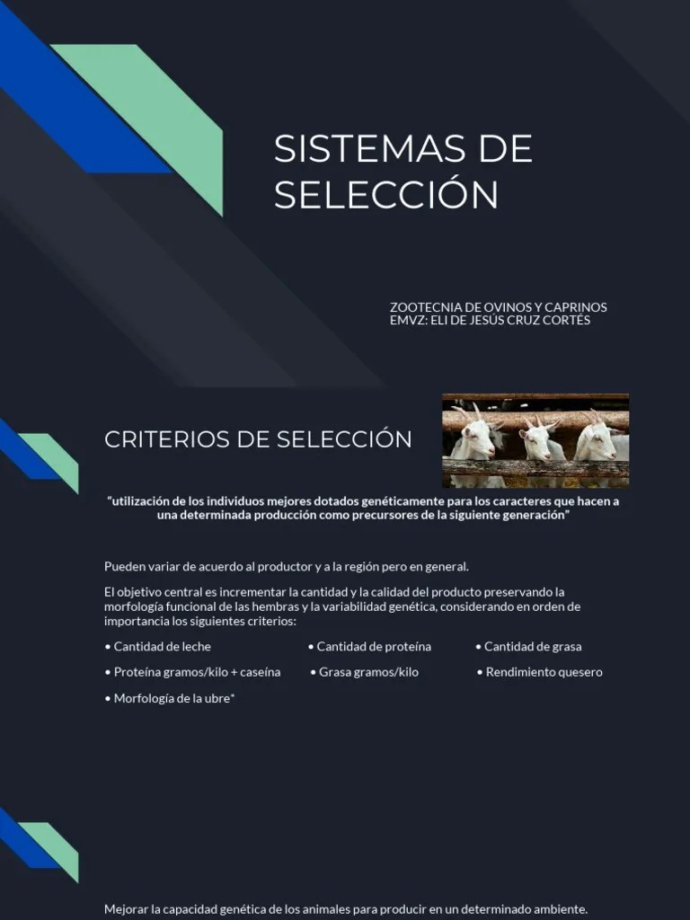 Sistemas De Selección | PDF