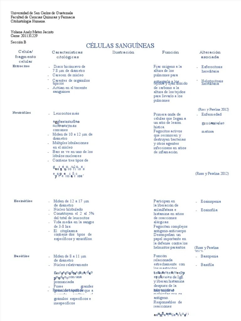 Wiac - Info PDF Celulas Sanguineas Cito PR | PDF | Linfocitos | Sistema Inmune