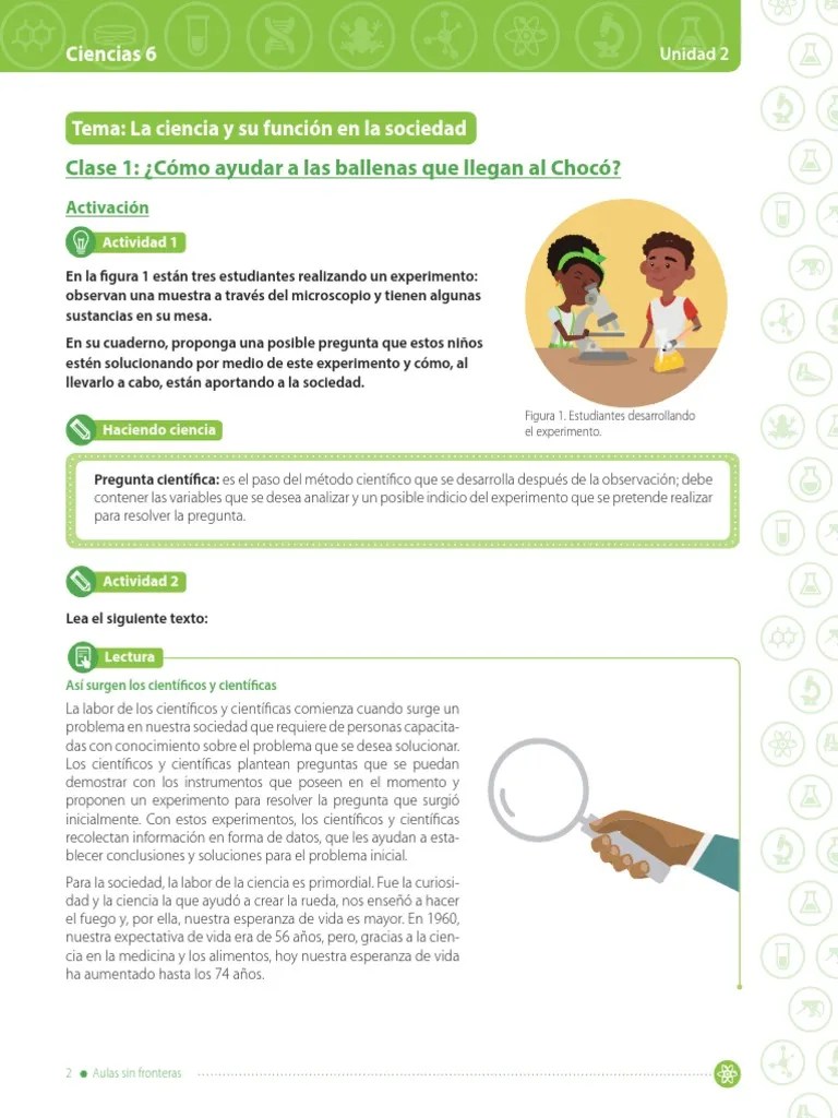 Organización En Los Seres Vivos 6to-6-8 | PDF | Experimentar | Antártida