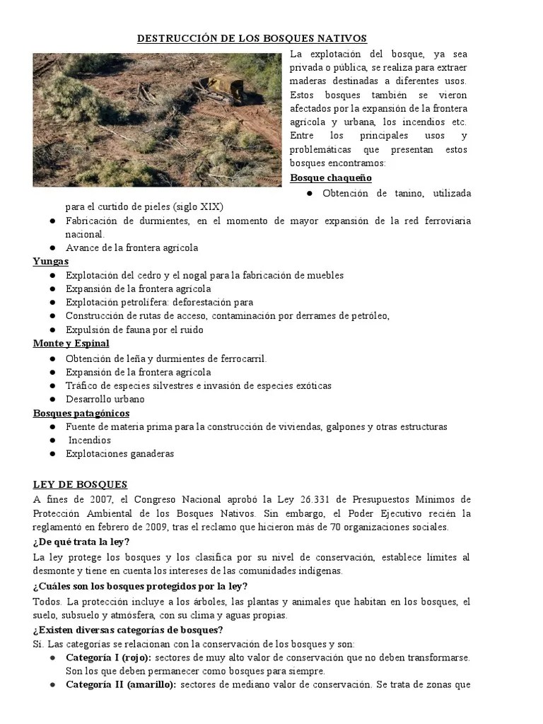DESTRUCCIÓN DE LOS BOSQUES NATIVOS | PDF | Deforestación | Los Bosques