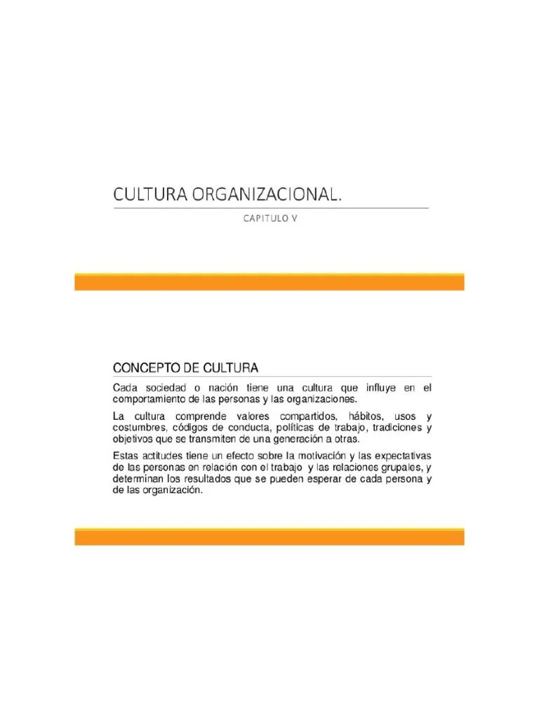 Cultura Organizacional Cap 5 | PDF