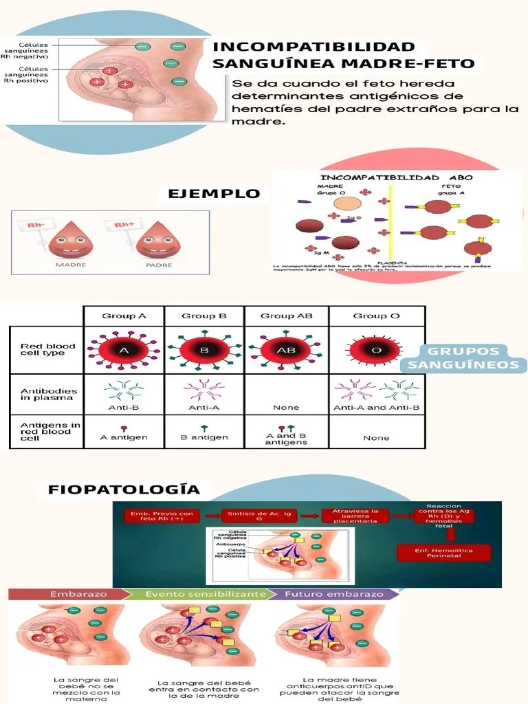 Incompatibilidad Sanguinea Madre-Feto | PDF