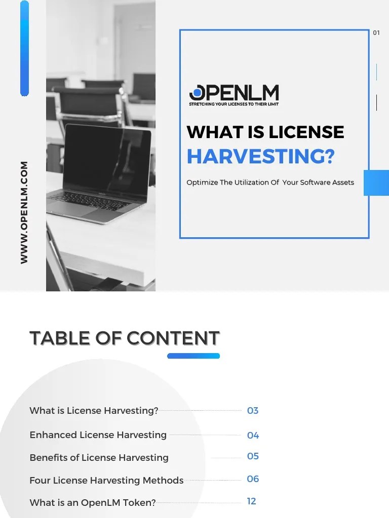 OpenLM License Harvesting | PDF | Application Software | Arc Gis