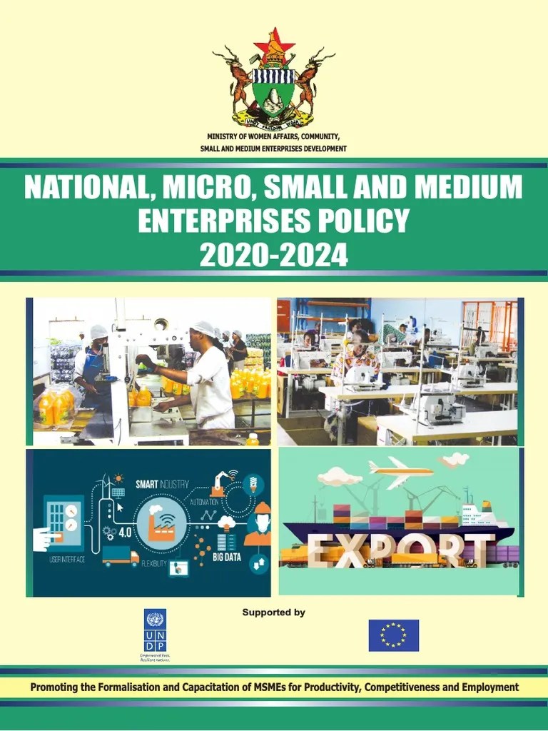 National MSME Policy 2020-2024 New 1 | PDF | Small And Medium Sized Enterprises | Entrepreneurship