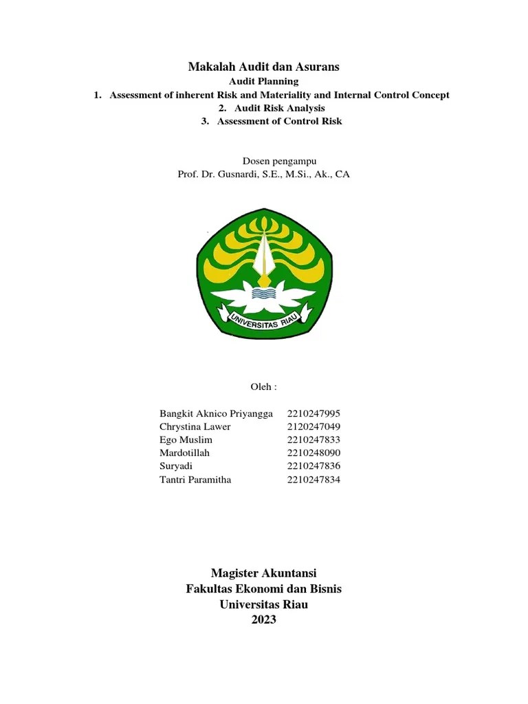 AUDIT - Audit Planning 