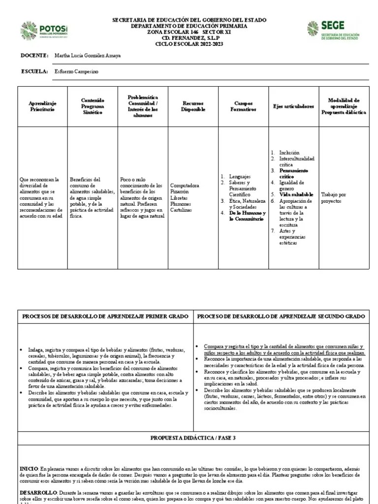 Codiseño Del Programa Analíticos Por Grado Fase 3 | PDF | Alimentos ...